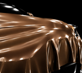 Gloss Caramel Brown