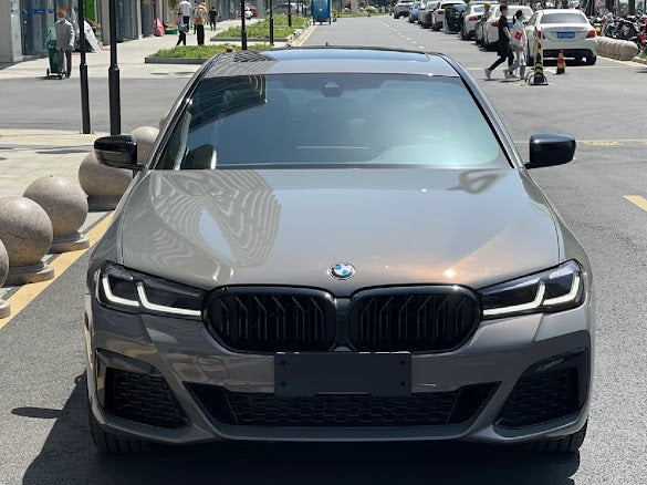 BMW Bernina Grey