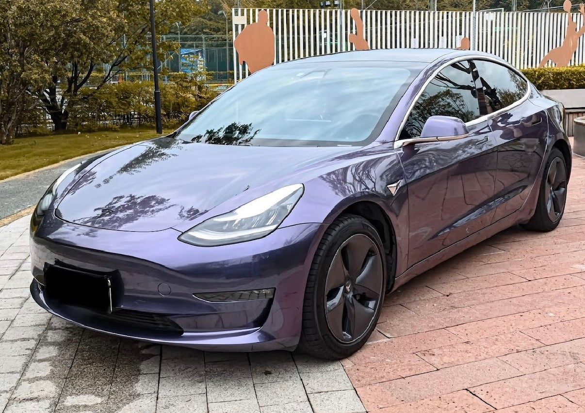 Gloss Metallic Rosemary Purple