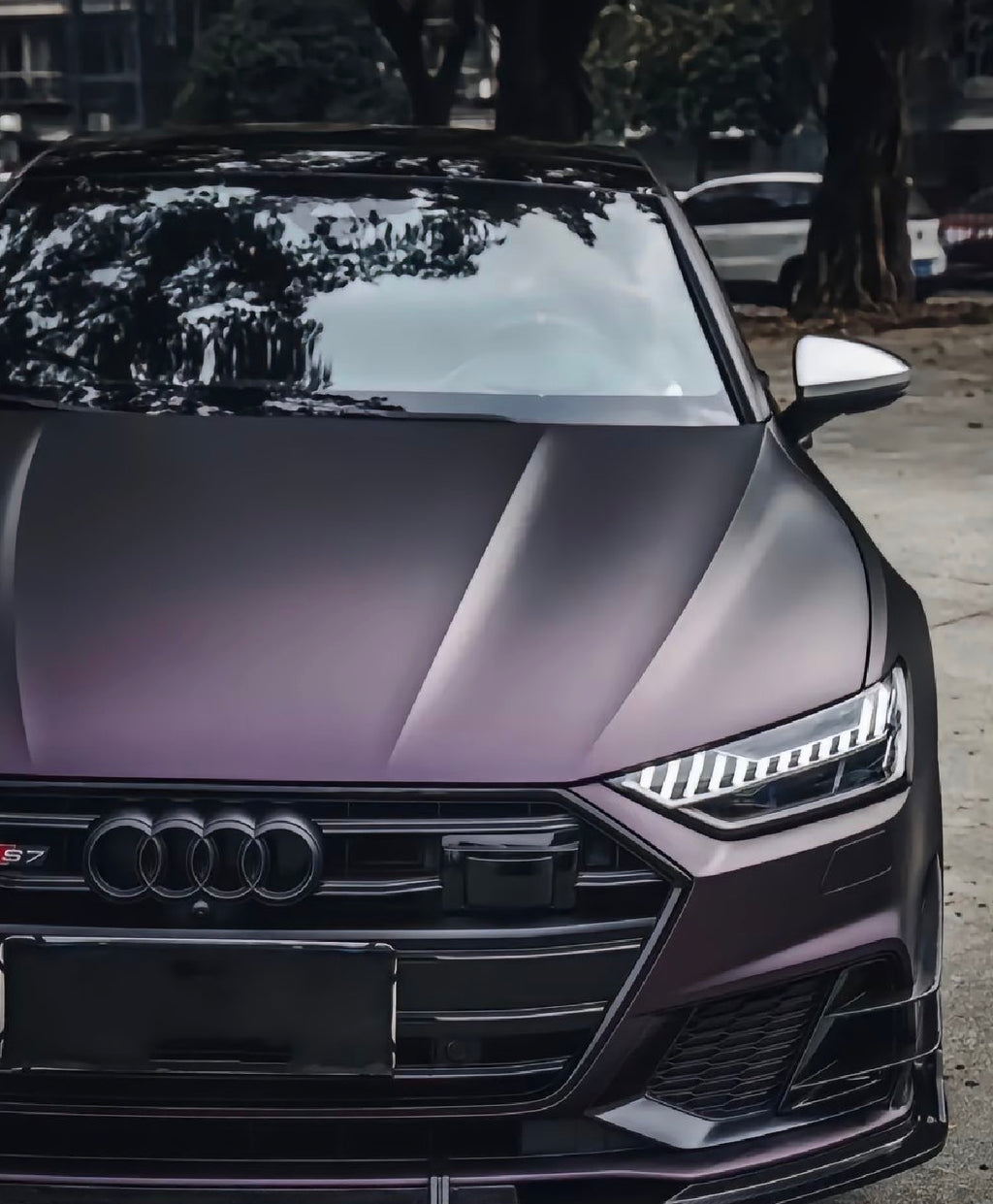 Matte Noir Purple