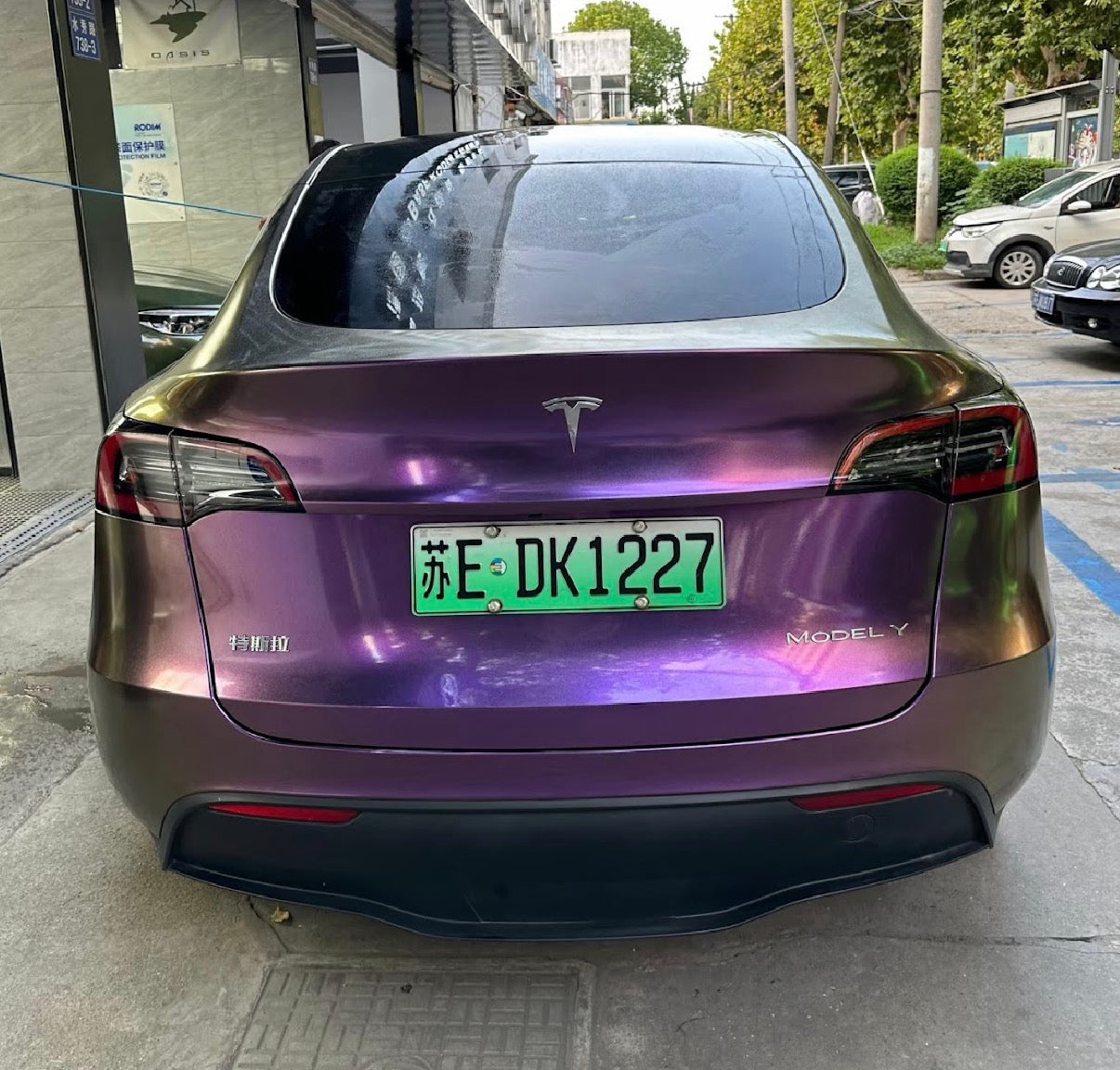 Gloss Metallic Diamond Purple