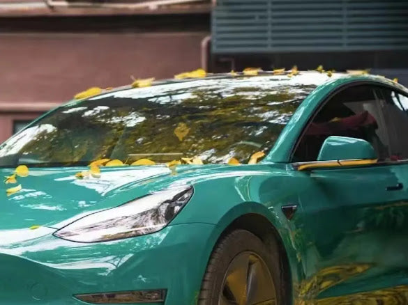 Gloss Storm Green