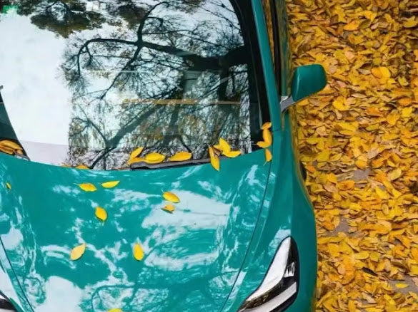 Gloss Storm Green