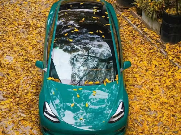 Gloss Storm Green