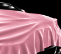 Gloss Sakura Pink